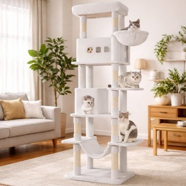arbre à chat xxl blanc grand et moderne