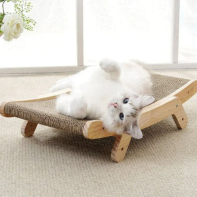 chat blanc heureux avec son griffoir chat