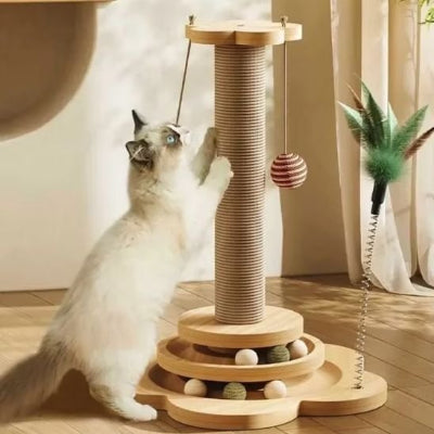 chat qui aiguise ses griffes sur griffoir chat