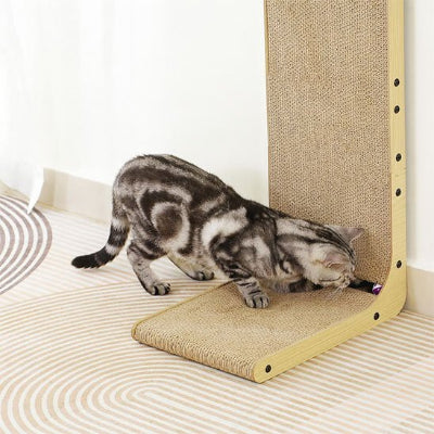 chat regarde balle du griffoir chat