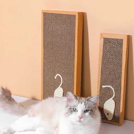 Griffoir chat | EcoProtect - Allo Minou