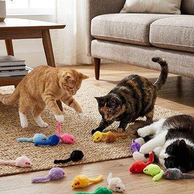 trois chats jouent jouet chat souris
