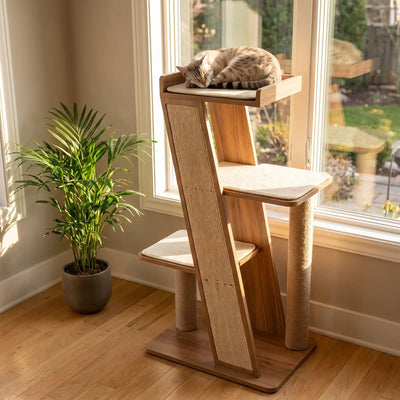 ARBRE A CHAT - Allo Minou