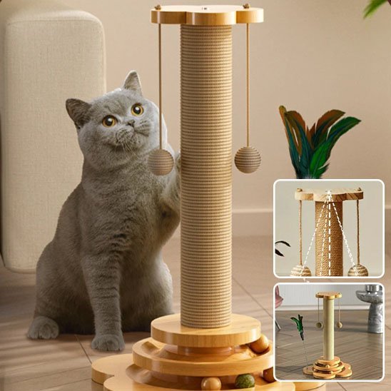 Arbre à chat en bois | Design Élégant - Allo Minou