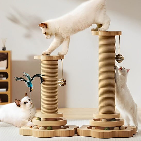 Arbre à chat en bois | Design Élégant - Allo Minou