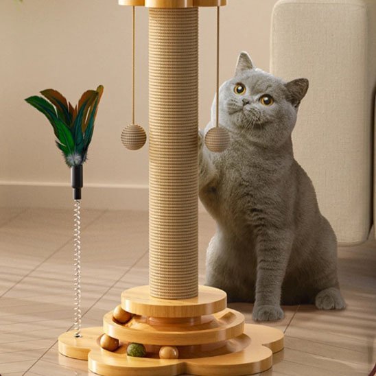 Arbre à chat en bois | Design Élégant - Allo Minou