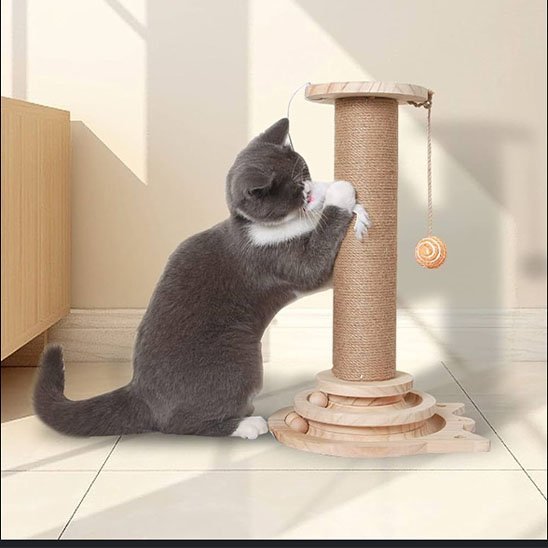 Arbre à chat en bois | Design Élégant - Allo Minou