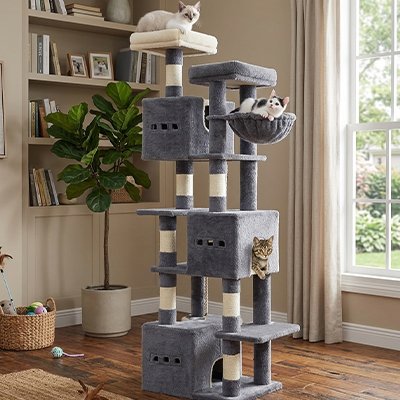 Arbre à Chat gris foncé plateformes multi niveaux