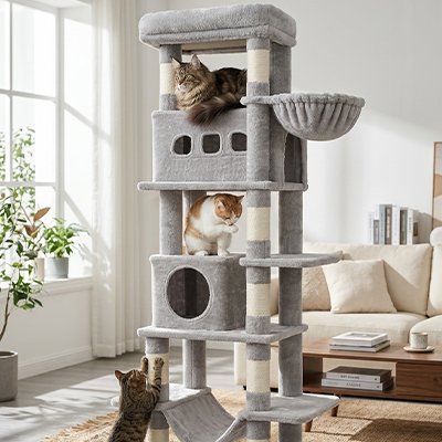 arbre à chat gris grand et stable