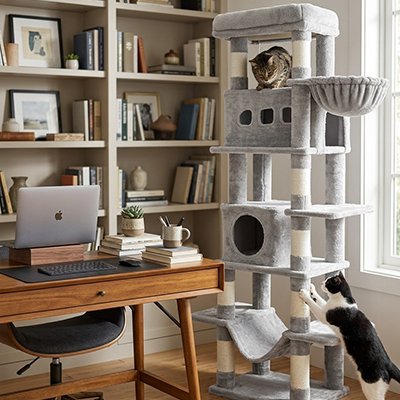 arbre à chat gris griffoirs et niches multi niveaux