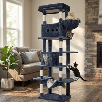 arbre à chat xxl plateformes et hamacs confortable