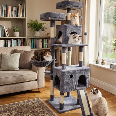 Arbre a Chats petite niche et grande niche