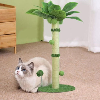 chat blanc assis sur moquette douce griffoir chat palmier