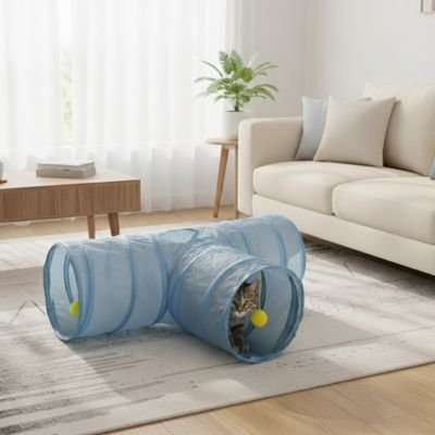 chat brun explore tunnel pour chat