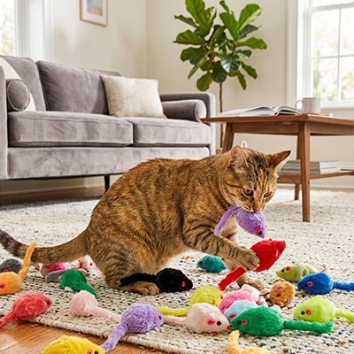 chat brun joue jouet chat souris violet rouge