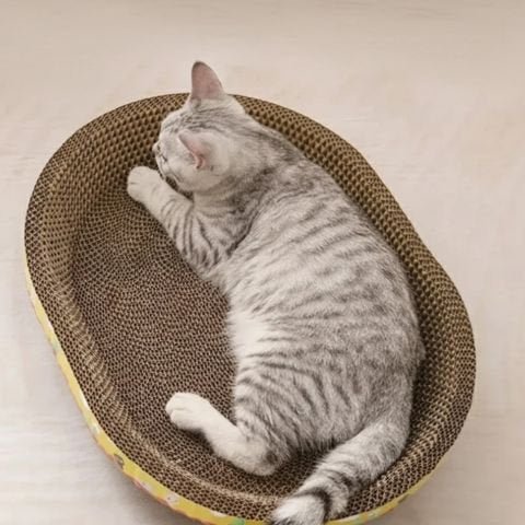 chat couché griffoir en carton pour chat ovale jaune