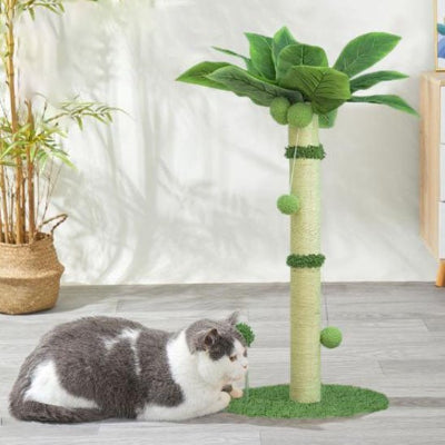 chat couché sur moquette douce griffoir chat palmier