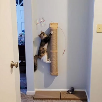 chat grimpe sur griffoir chat mural