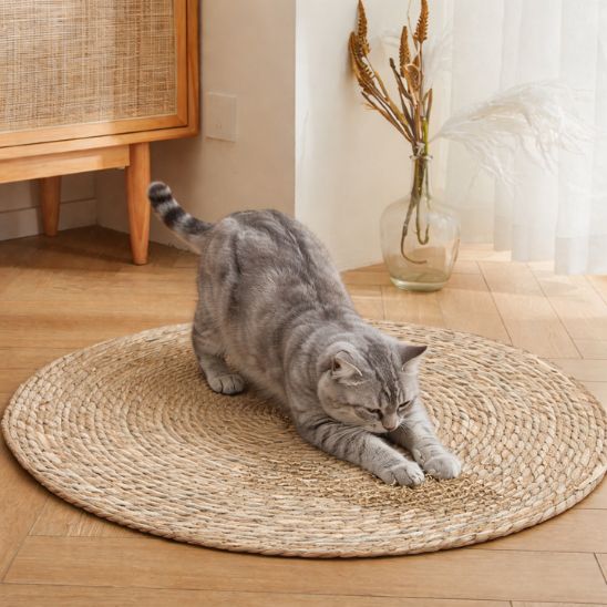 chat gris aiguise ses griffes sur tapis-griffoir chat