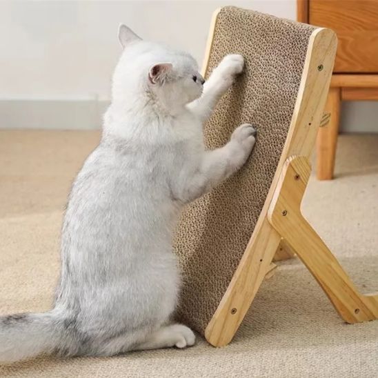 chat heureux d aiguiser ses griffes sur griffoir pour chat