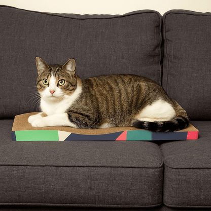 chat heureux de griffoir en carton pour chat