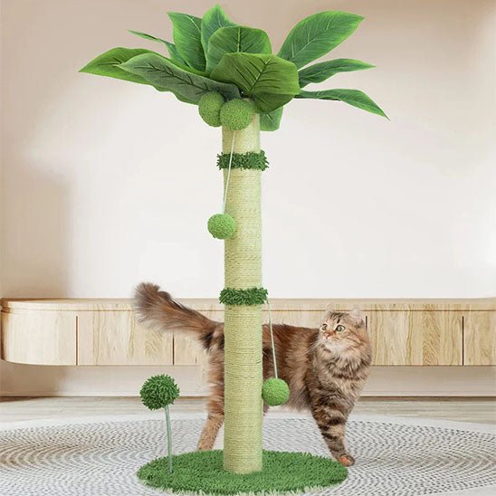 chat intrigue par griffoir chat palmier tropical