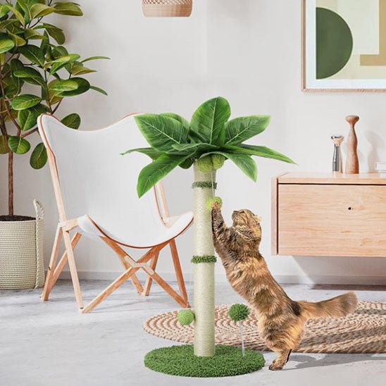 chat jouant avec balles de laines palmier griffoir chat