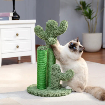 chat jouant avec griffoir chat cactus