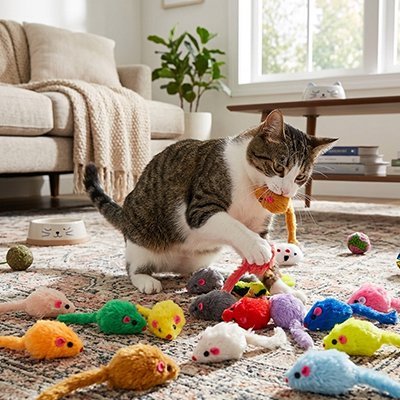 chat joue jouet chat souris orange rouge