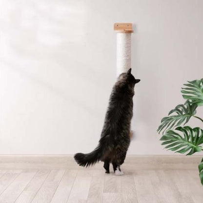 chat noir découvre son nouveau griffoir chat mural