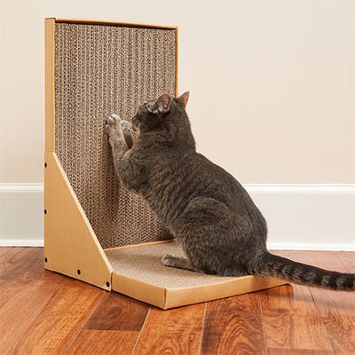 chat noir s'amuse avec griffoir en carton pour chat