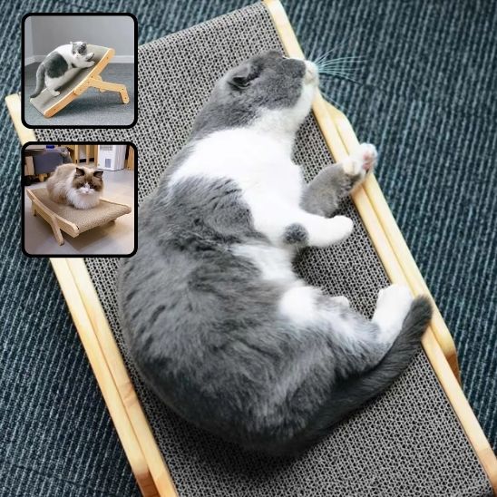 chat qui dort s amuse sur griffoir pour chat