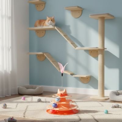chat regarde jeux chat tour orange