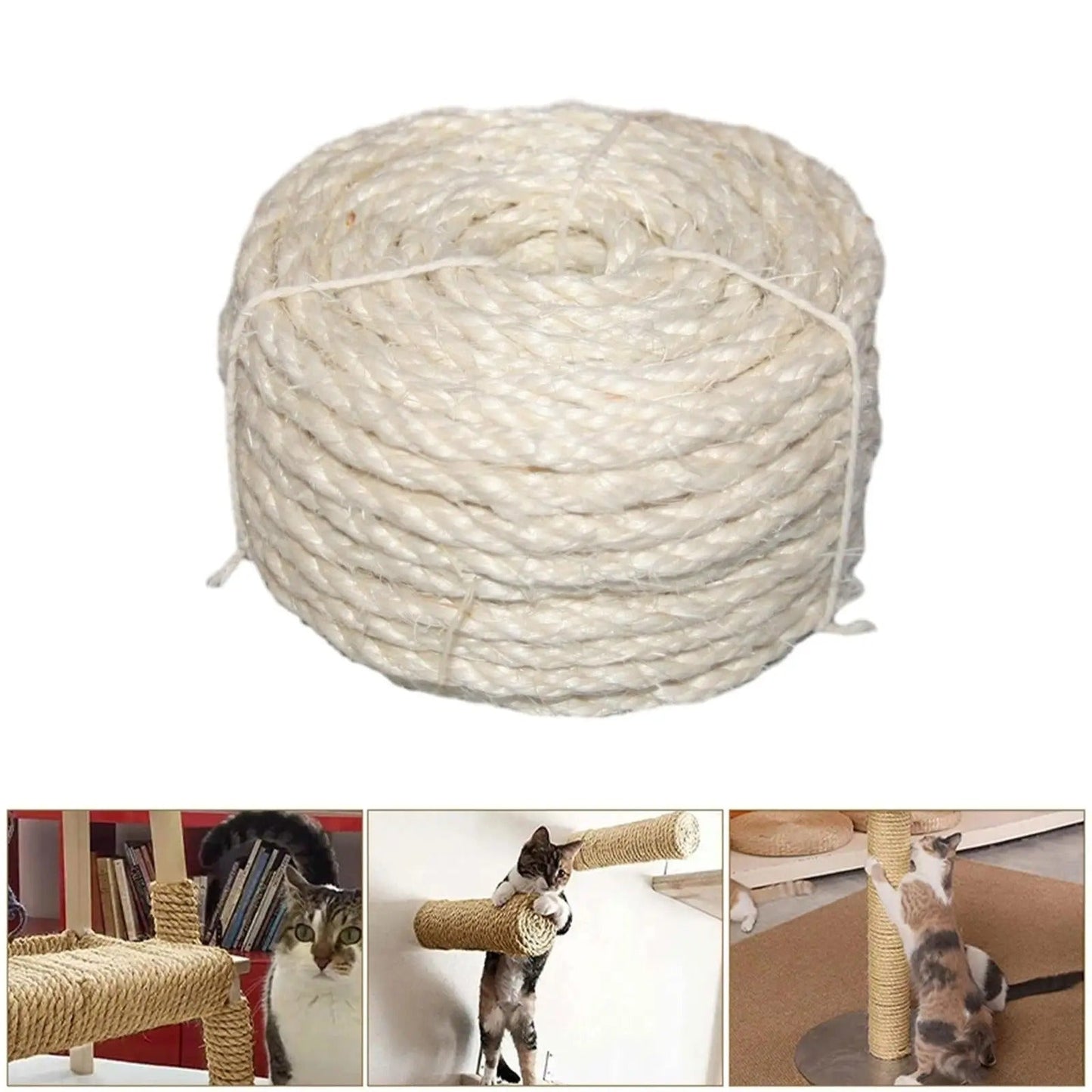 Corde arbre a chat | Grimpeur Félin - Allo Minou