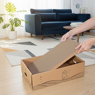 Griffoir chat carton | EcoDurable - Allo Minou
