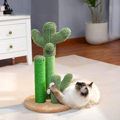 Griffoir chat | Design Cactus - Allo Minou