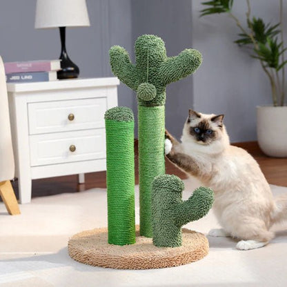 Griffoir chat | Design Cactus - Allo Minou