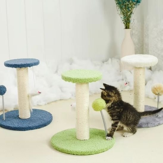 Griffoir chat | DesignProtect - Allo Minou