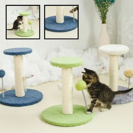 Griffoir chat | DesignProtect - Allo Minou