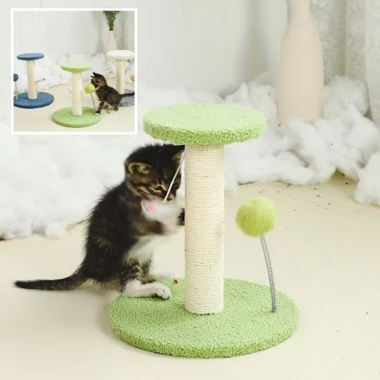 Griffoir chat | DesignProtect - Allo Minou