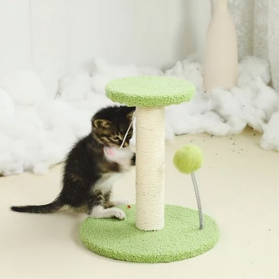 Griffoir chat | DesignProtect - Allo Minou