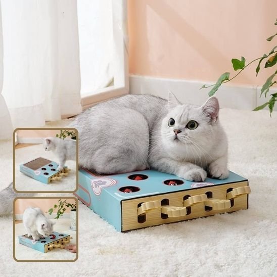 Griffoir chat | DesignProtect - Allo Minou