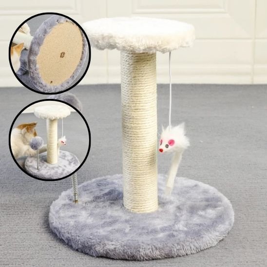 Griffoir chat | DesignProtect - Allo Minou