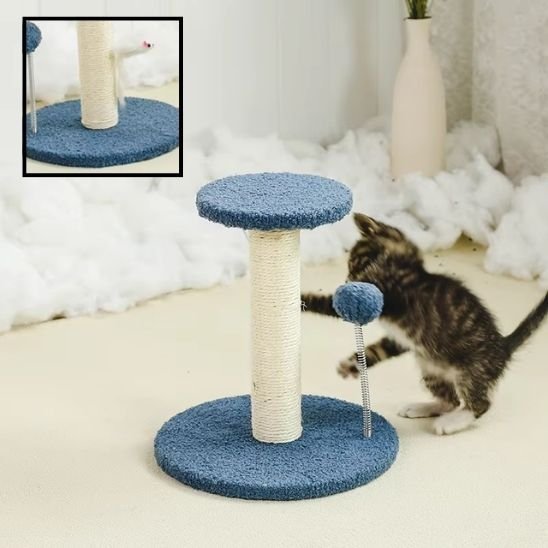 Griffoir chat | DesignProtect - Allo Minou