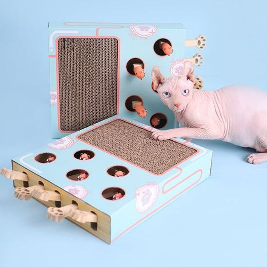 Griffoir chat | DesignProtect - Allo Minou