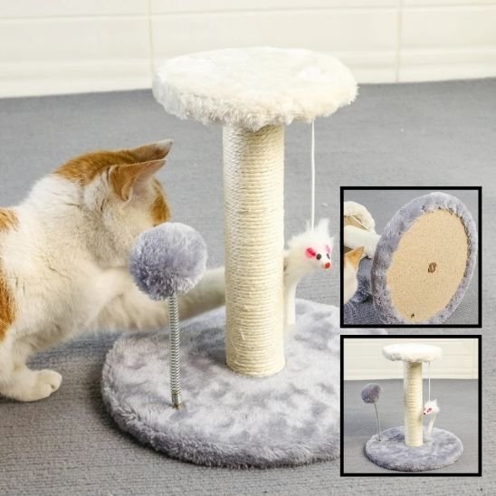 Griffoir chat | DesignProtect - Allo Minou