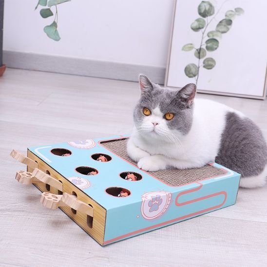 Griffoir chat | DesignProtect - Allo Minou