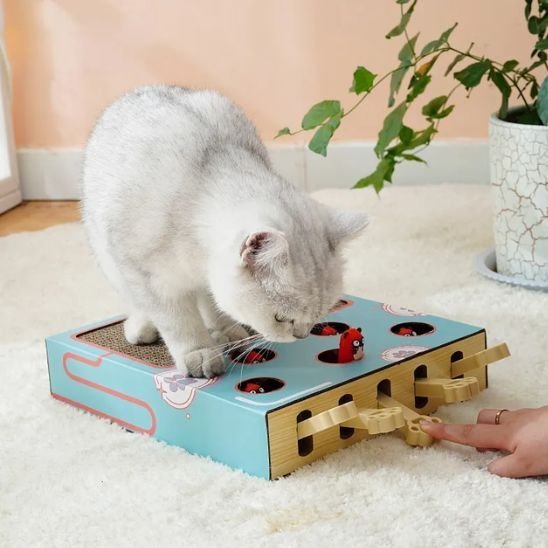 Griffoir chat | DesignProtect - Allo Minou