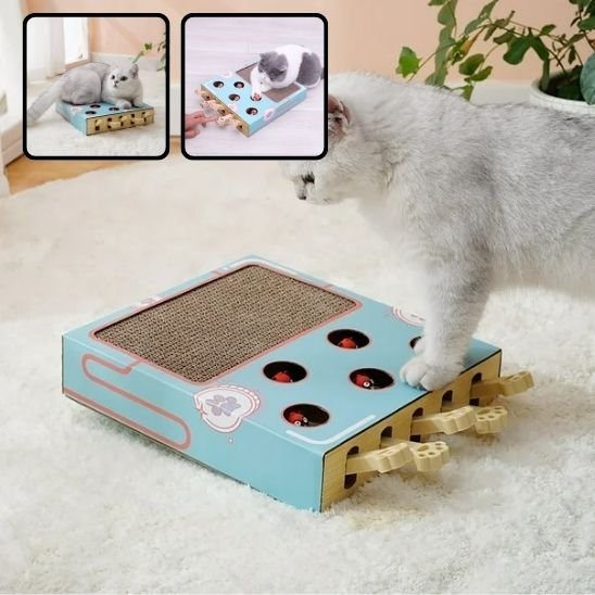 Griffoir chat | DesignProtect - Allo Minou