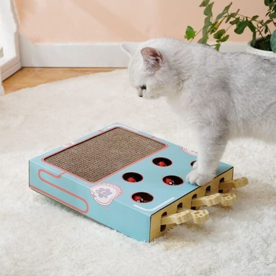 Griffoir chat | DesignProtect - Allo Minou
